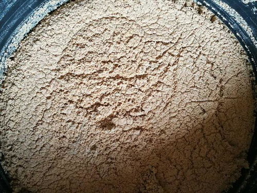 正宇多多黑水虻發(fā)酵蟲漿 內(nèi)陸水產(chǎn)養(yǎng)殖的綠色革命，魚蝦健康新“食”代