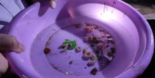 威海市推進(jìn)水產(chǎn)健康養(yǎng)殖 示范場(chǎng)驗(yàn)收與原良種場(chǎng)考察并舉，助力內(nèi)陸水產(chǎn)養(yǎng)殖銷售提質(zhì)增效