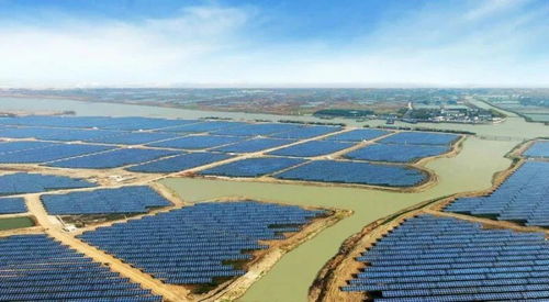 水產(chǎn)變革在即 巨頭入局后的內(nèi)陸水產(chǎn)養(yǎng)殖銷售新格局