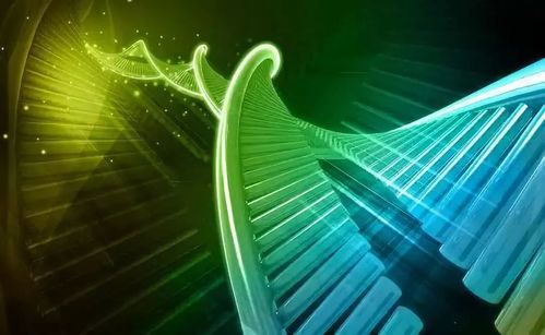 溫州生材所聯(lián)合上海交大、浙大成立研發(fā)中心，生物基材料技術助力阿爾茨海默癥治療